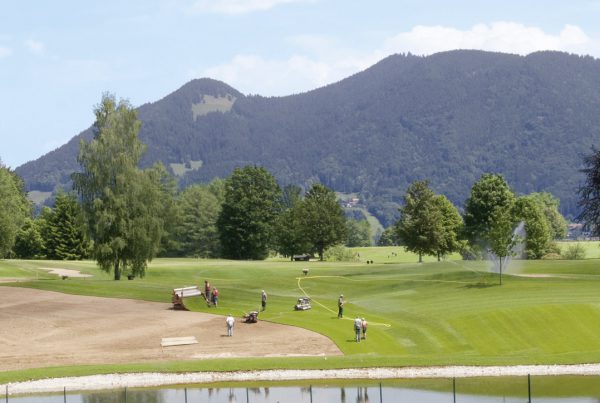 Fairway auf humosem Boden