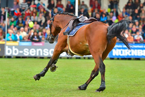 Reitrasen auf Sandboden