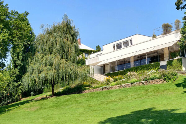 Hitze- und Trockenrasen