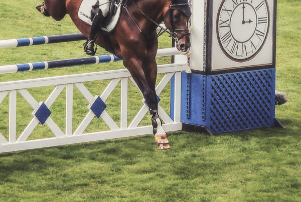 Reitrasen auf Sandboden